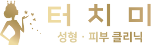 터치미 성형 ∙ 피부 클리닉